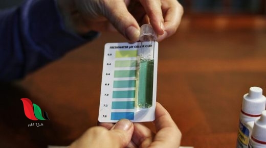 ترتبط قوة الحمض بعدد أيونات الهيدروجين التي يكتسبها صواب خطأ