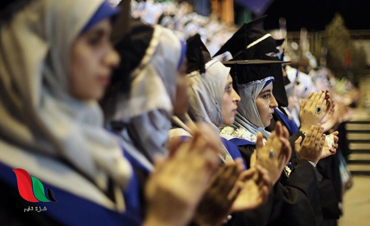 رابط تحديث بيانات الخريجين في وزارة العمل بفلسطين