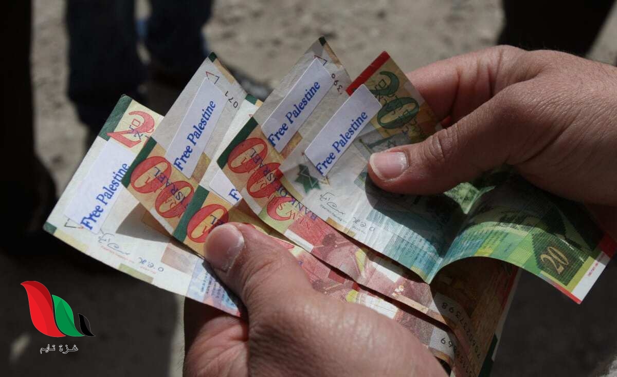 التنمية تصدر توضيحًا حول صرف منحة 100 دولار وشيكات الشؤون في غزة