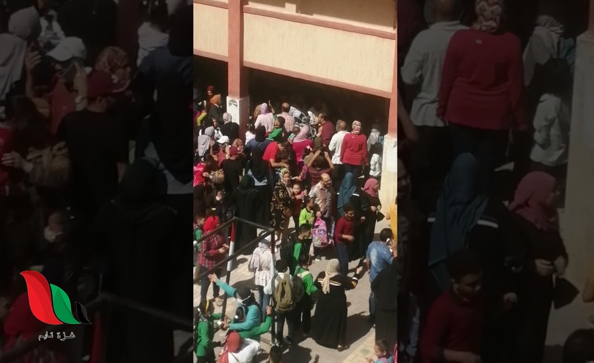 شاهد: فضيحة مدوية بسبب مدرسة عمر مكرم الابتدائية بالاسكندرية