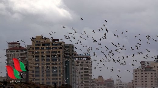 راصد جوي يوضح أسباب تأخر المطر وطبيعة طقس فلسطين خلال الأيام المقبلة