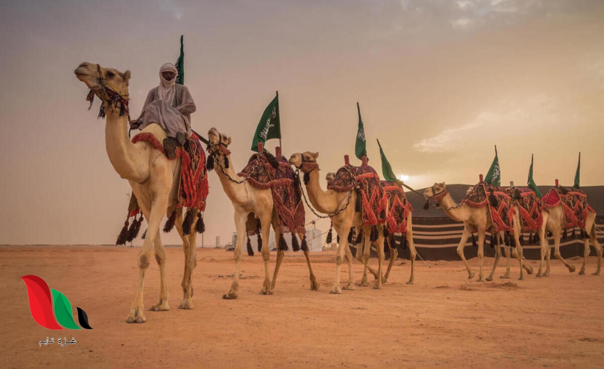موعد مهرجان الملك عبدالعزيز لمزاين الإبل 1443