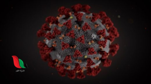 ماذا تعرف عن متحور "أوميكرون" الذي يثير قلق العالم؟