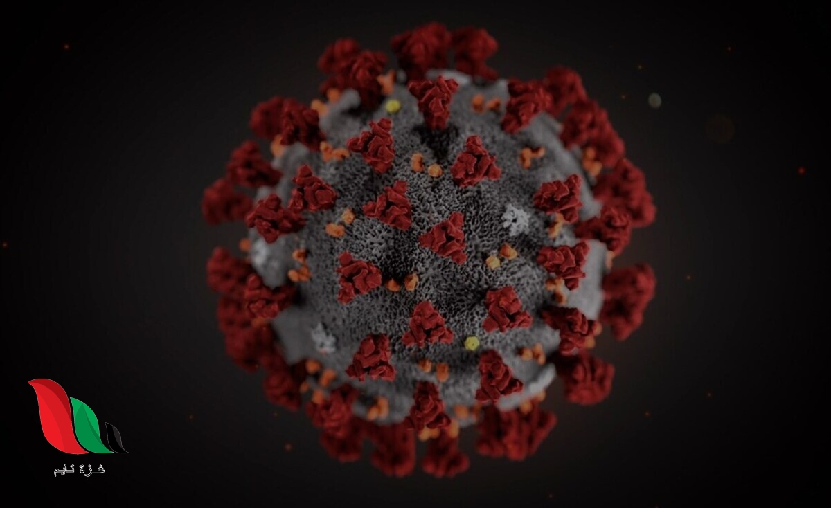 ماذا تعرف عن متحور "أوميكرون" الذي يثير قلق العالم؟