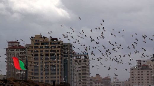 هل ستصل قطاع غزة أمطار المنخفض الجوي الاول ؟