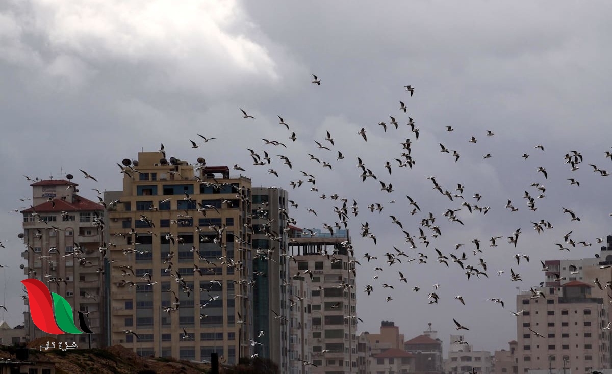 هل ستصل قطاع غزة أمطار المنخفض الجوي الاول ؟