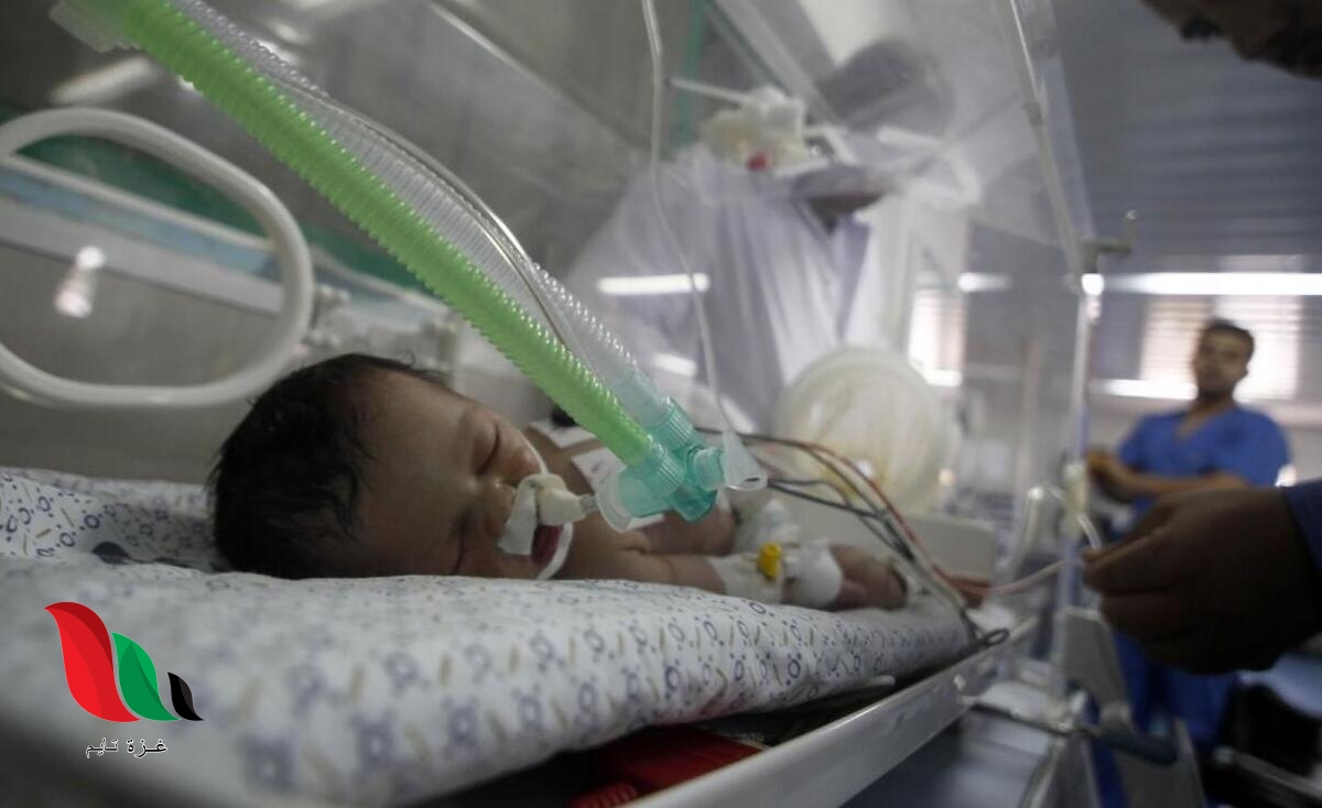 4462 مولودًا و289 حالة وفاة في غزة الشهر الماضي