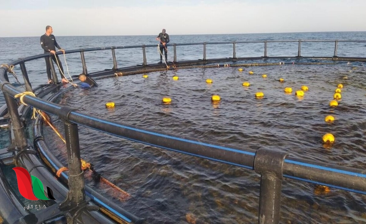 هل ينجح “الاستزراع البحري” في تخفيف الحصار عن صيادي غزة ؟