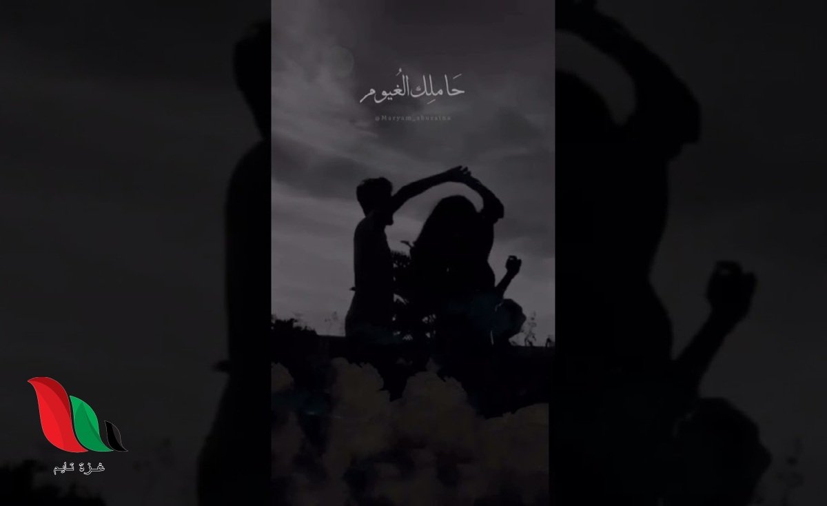 كلمات اغنية عشاني سيلاوي الجديدة