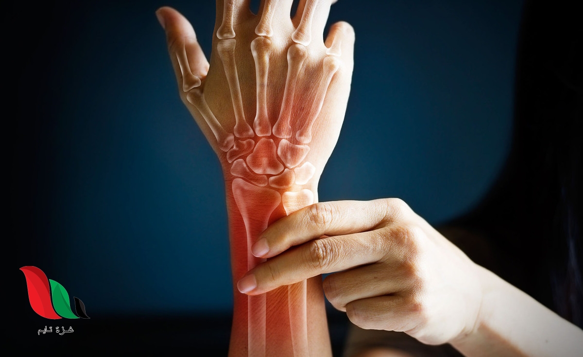 ما هي أفضل الأطعمة لصحة العظام؟