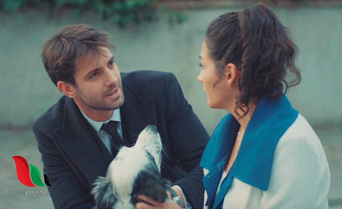 حلقات مسلسل الأحلام والواقع Hayaller Ve Hayatlar مترجمة كاملة تليجرام