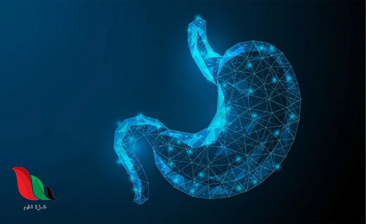 مشروبات طبيعية تساعد في علاج جرثومة المعدة