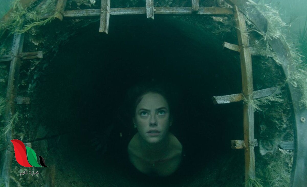 إليكم قصة فيلم كرول crawl على ويكيبيديا