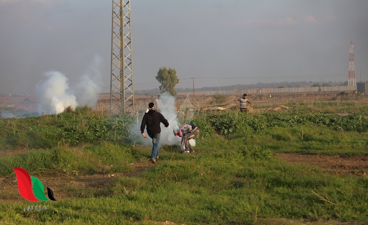 الاحتلال يستهدف مزارعي غزة ورعاة الأغنام