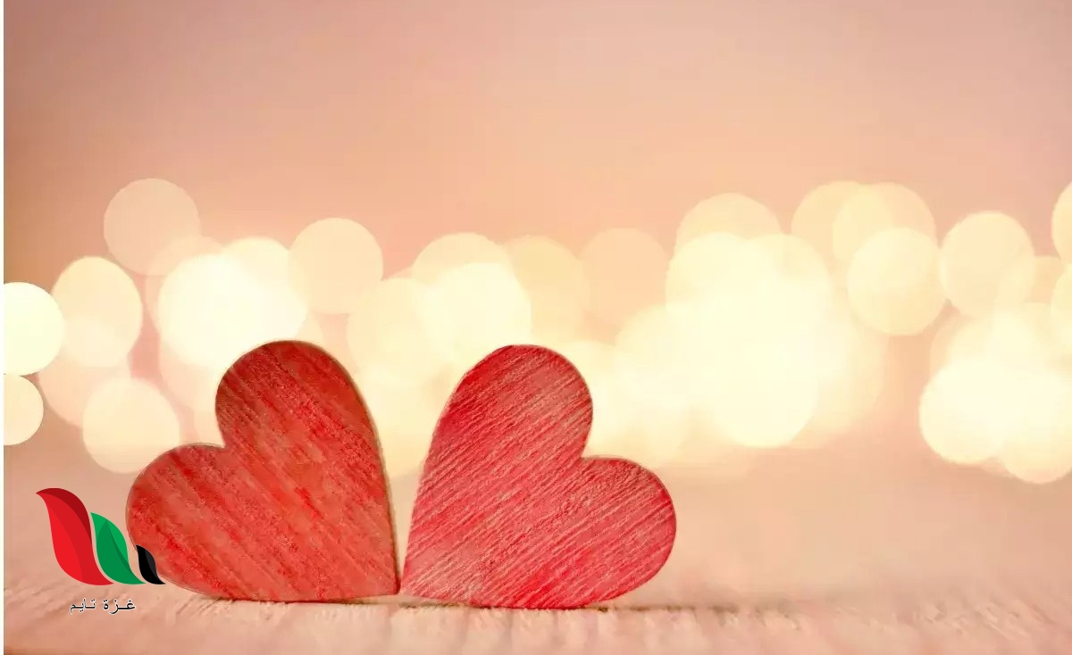 كلام عيد الحب 2022 لحبيبتي على تويتر