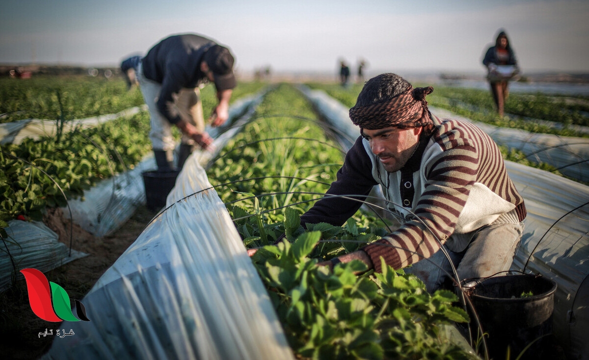 الاحتلال يستهدف صيادي ومزارعي قطاع غزة