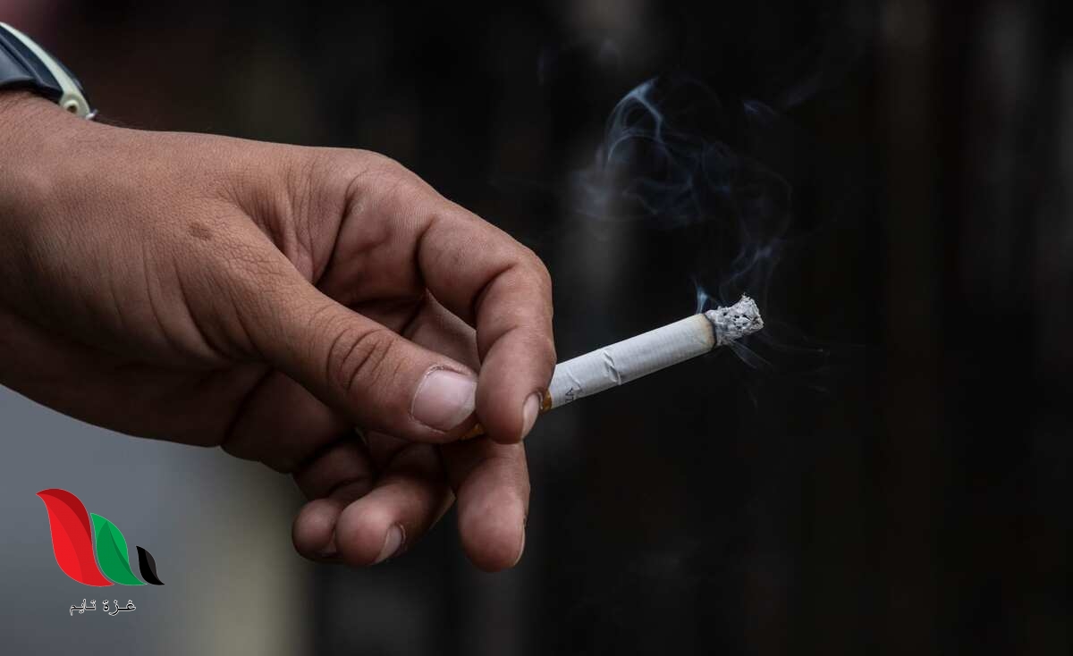 حكم التدخين في رمضان عند طائفة السيستاني