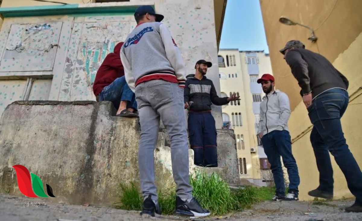 كيفية تجديد منحة البطالة 2022 كل شهر في الجزائر