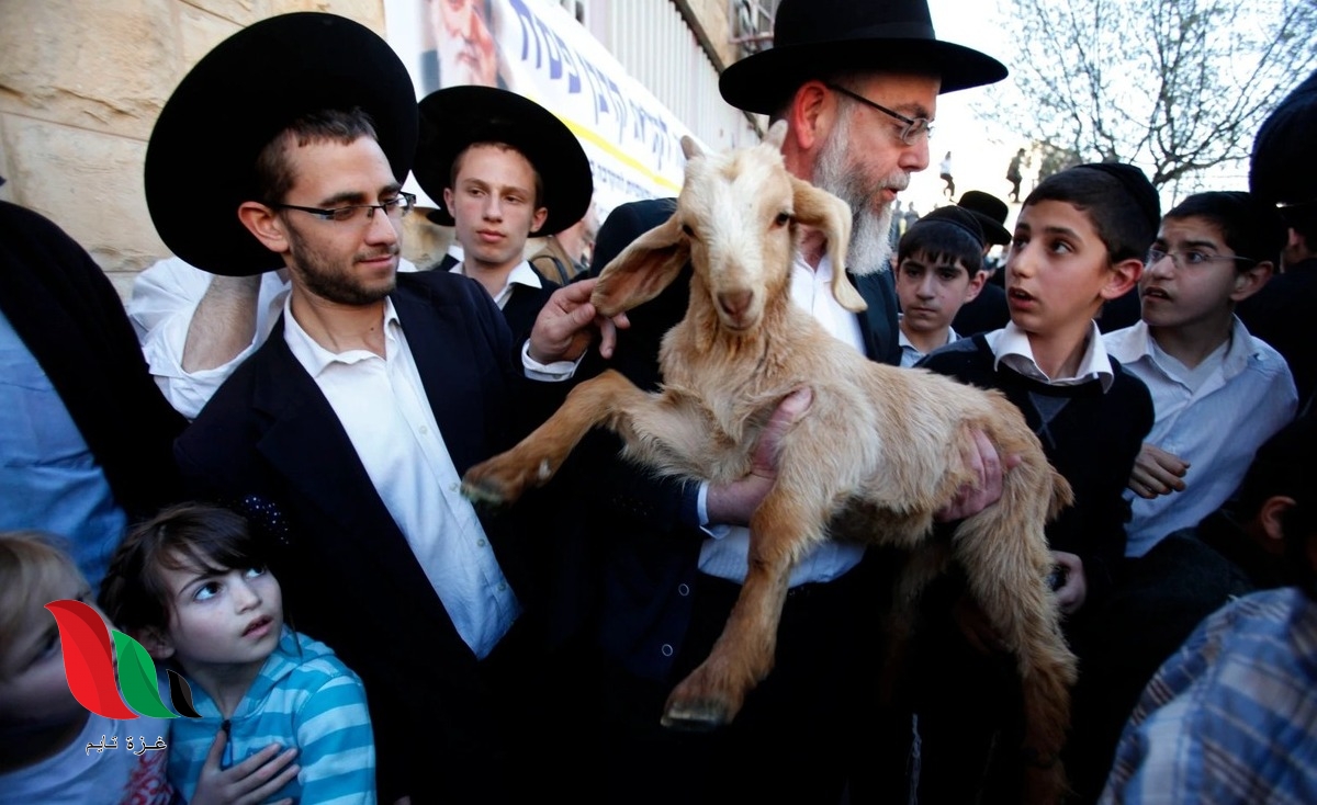 ما هو سبب ذبح القرابين عند اليهود؟