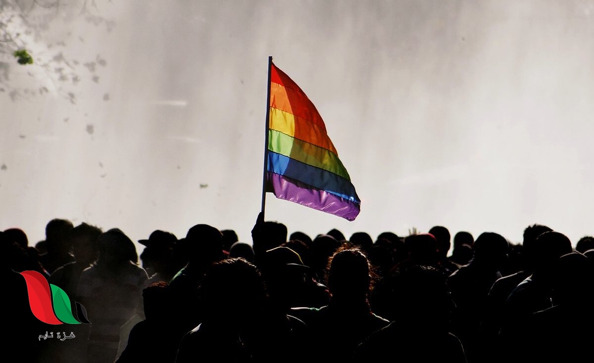 ما هو مجتمع الميم أو إل جي بي تي LGBT ؟