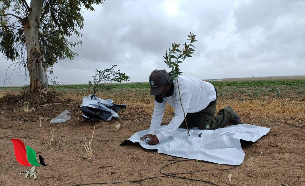 الاحتلال يواصل “التشجير الأمني” لحماية آلياته من صواريخ غزة