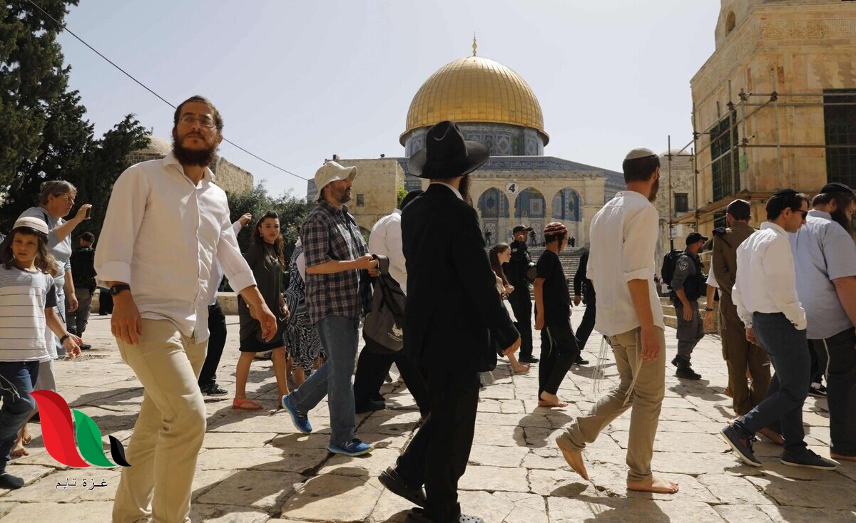 شرطة الاحتلال تمنح المستوطنين “الضوء الأخضر” لاقتحام المسجد الأقصى