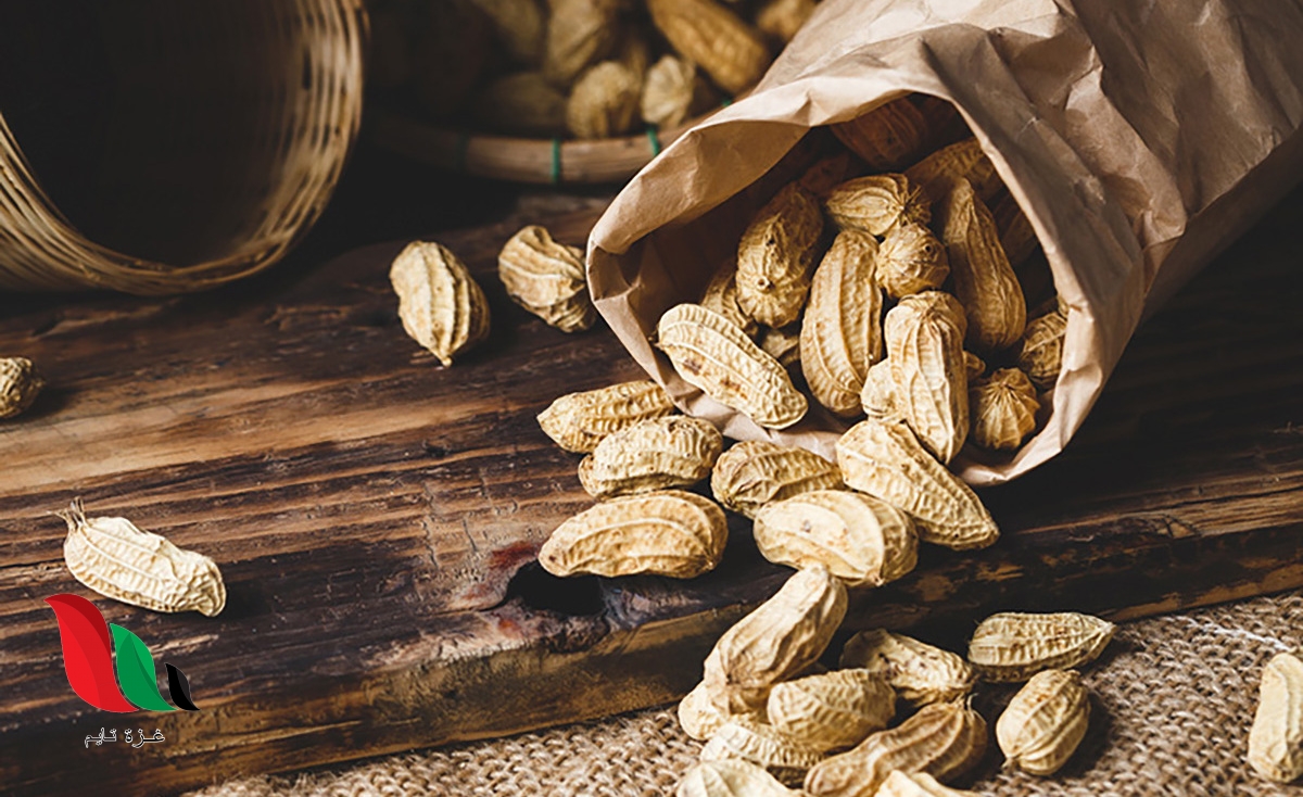 ما هو الفول السوداني بالاماراتي ؟