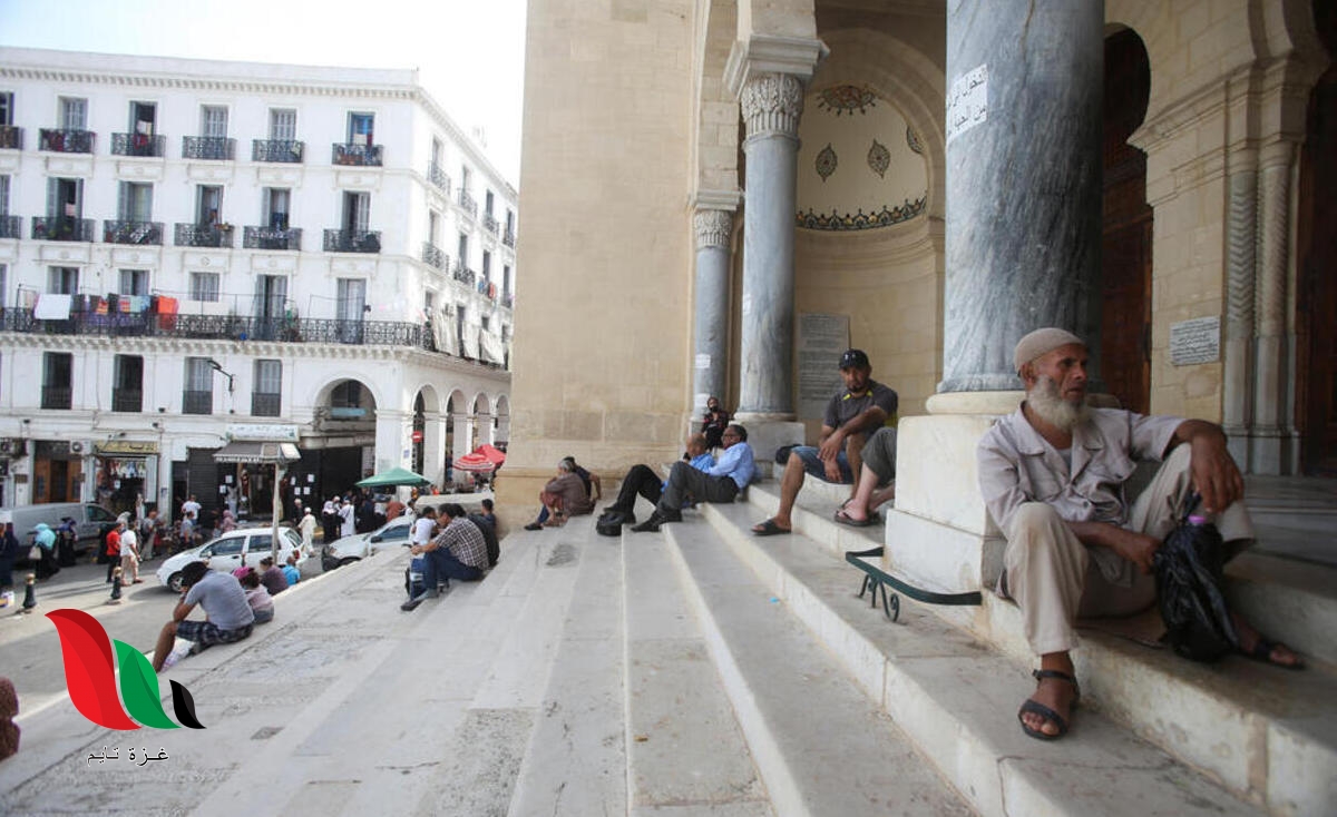 reval cnr dz تسجيل الدخول 2022 المنصة الرقمية للمتقاعدين