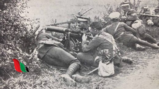 بلغ عدد القتلى في الحرب العالمية الأولى عشرين مليون قتيل