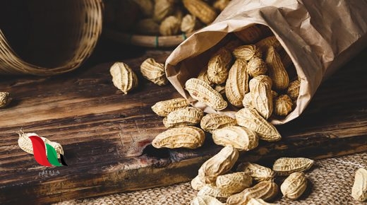 ما هو الفول السوداني بالاماراتي ؟