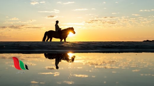 من هو أول من اعتلى ظهور الخيل؟