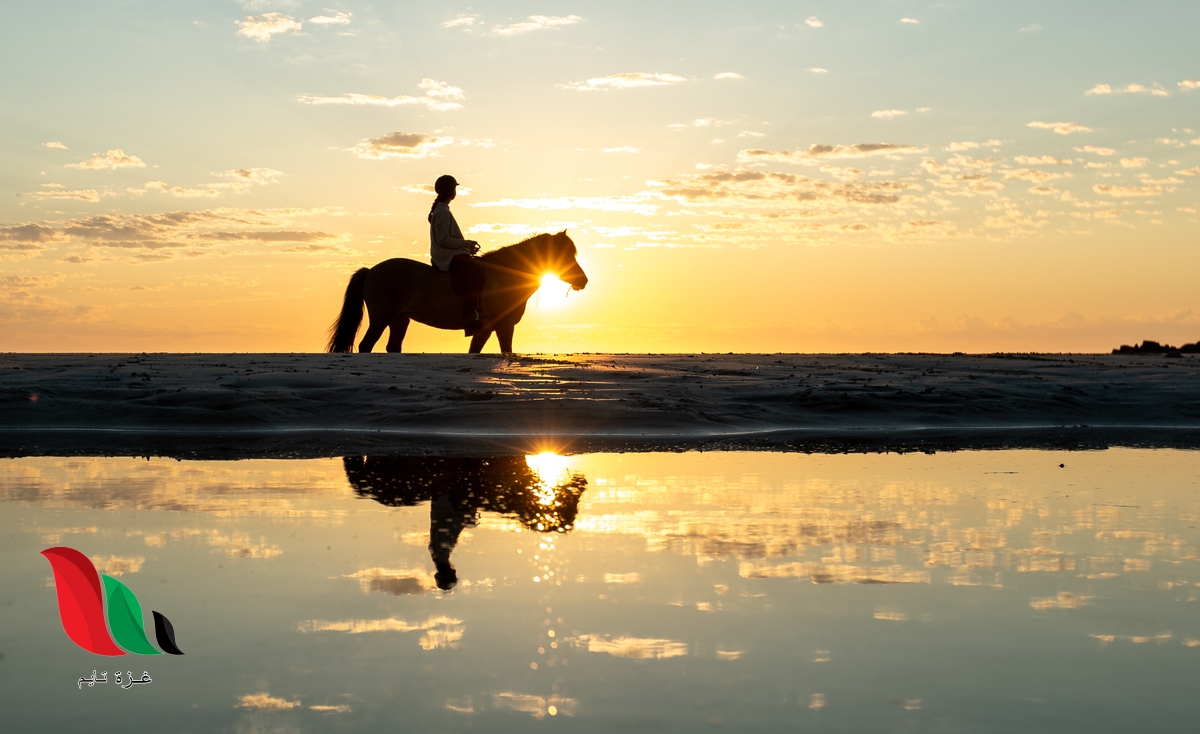 من هو أول من اعتلى ظهور الخيل؟