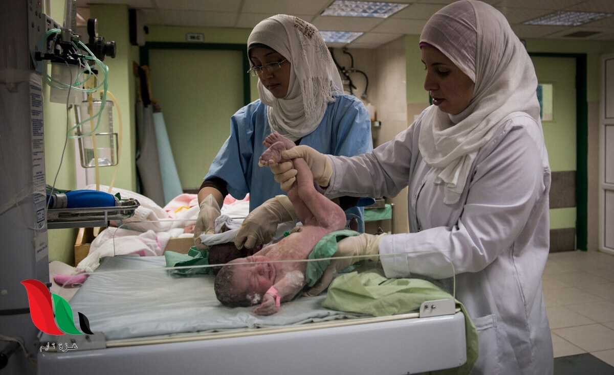 18000 سيدة حامل سنويًا ولا صحة إنجابية في غزة