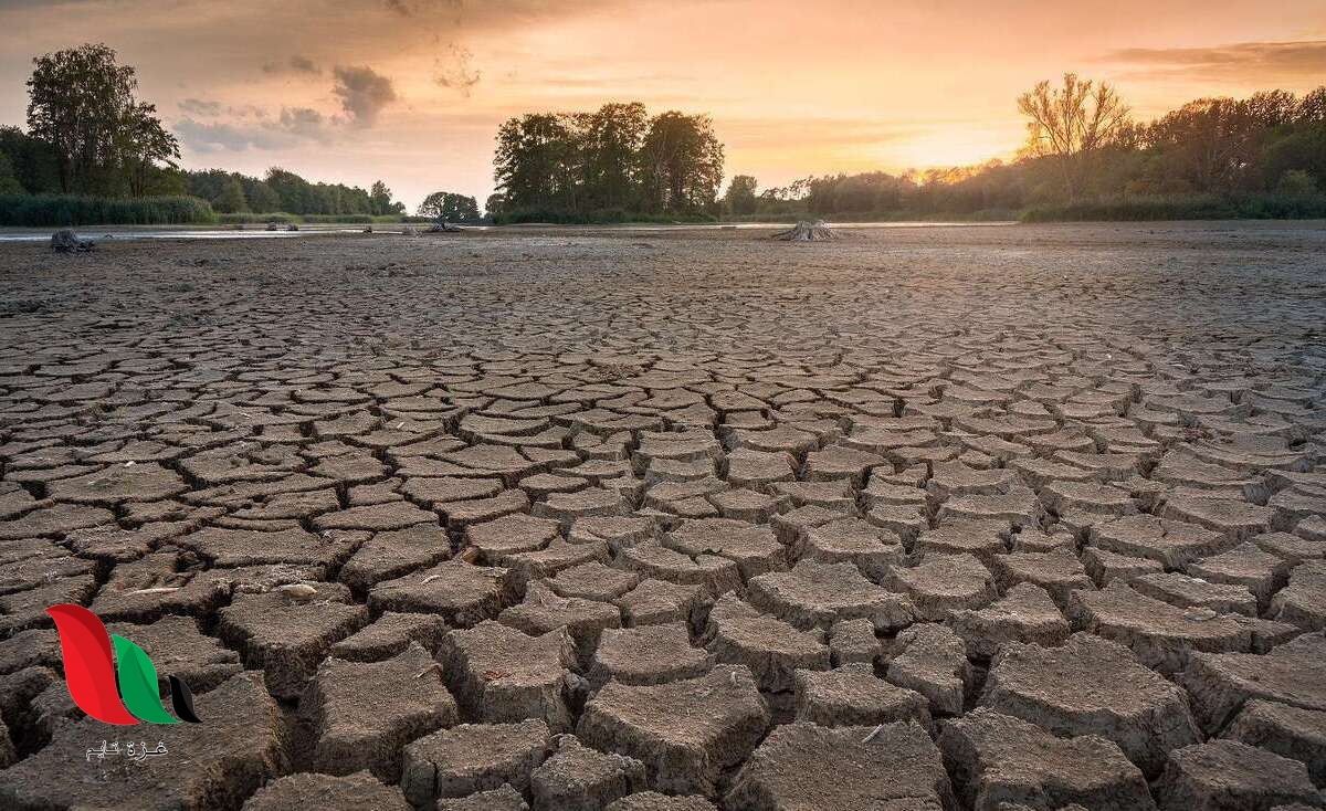 لماذا أصبح الصيف "أخطر" فصول السنة؟