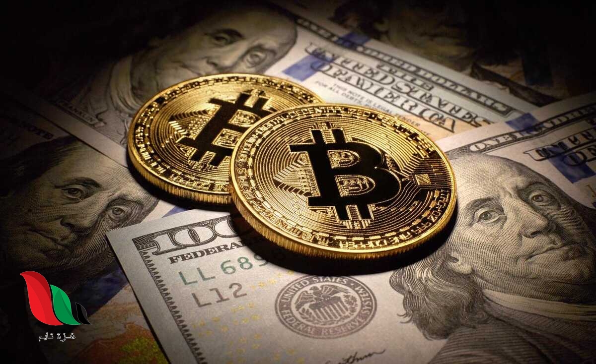 العملة الرقمية الأولى تتراجع إلى أدنى مستوى منذ 2020