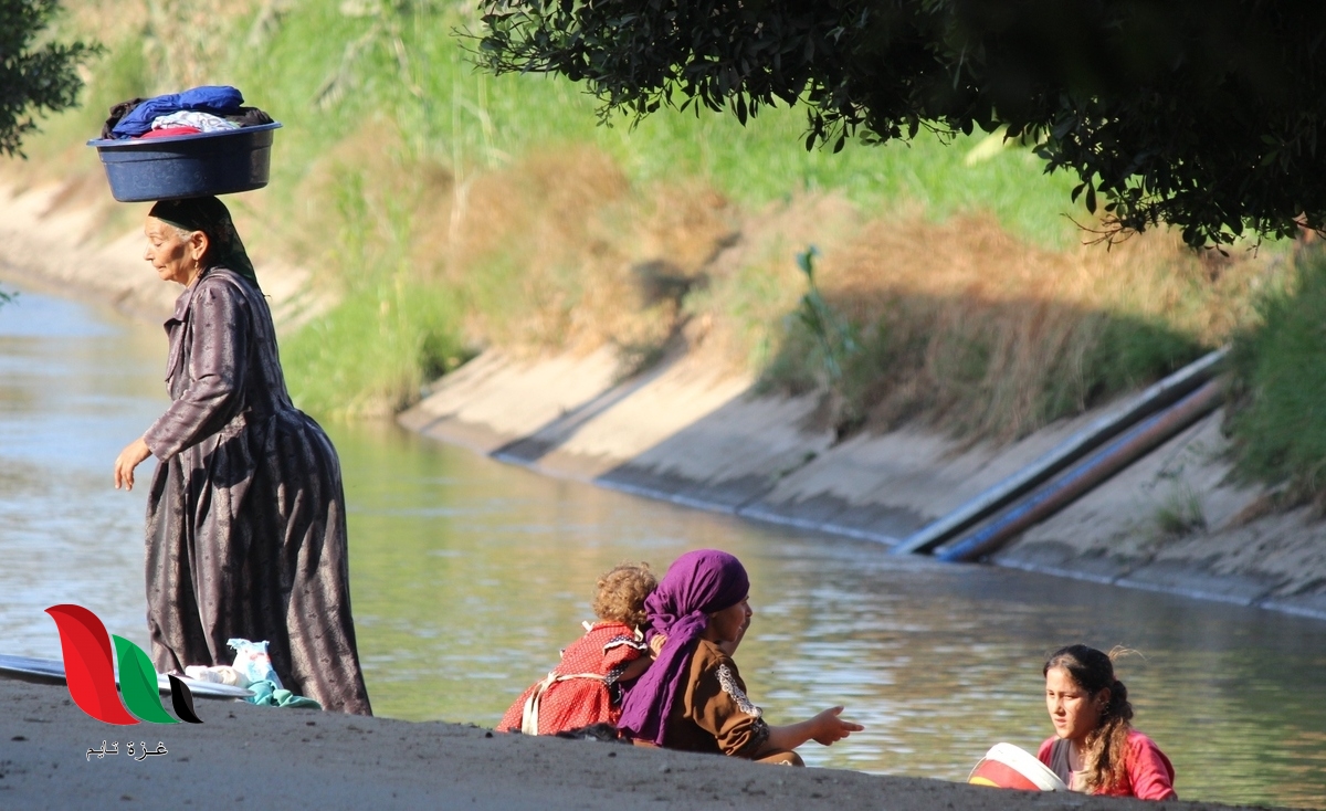 تحميل رواية احببتها صعيدية كاملة pdf