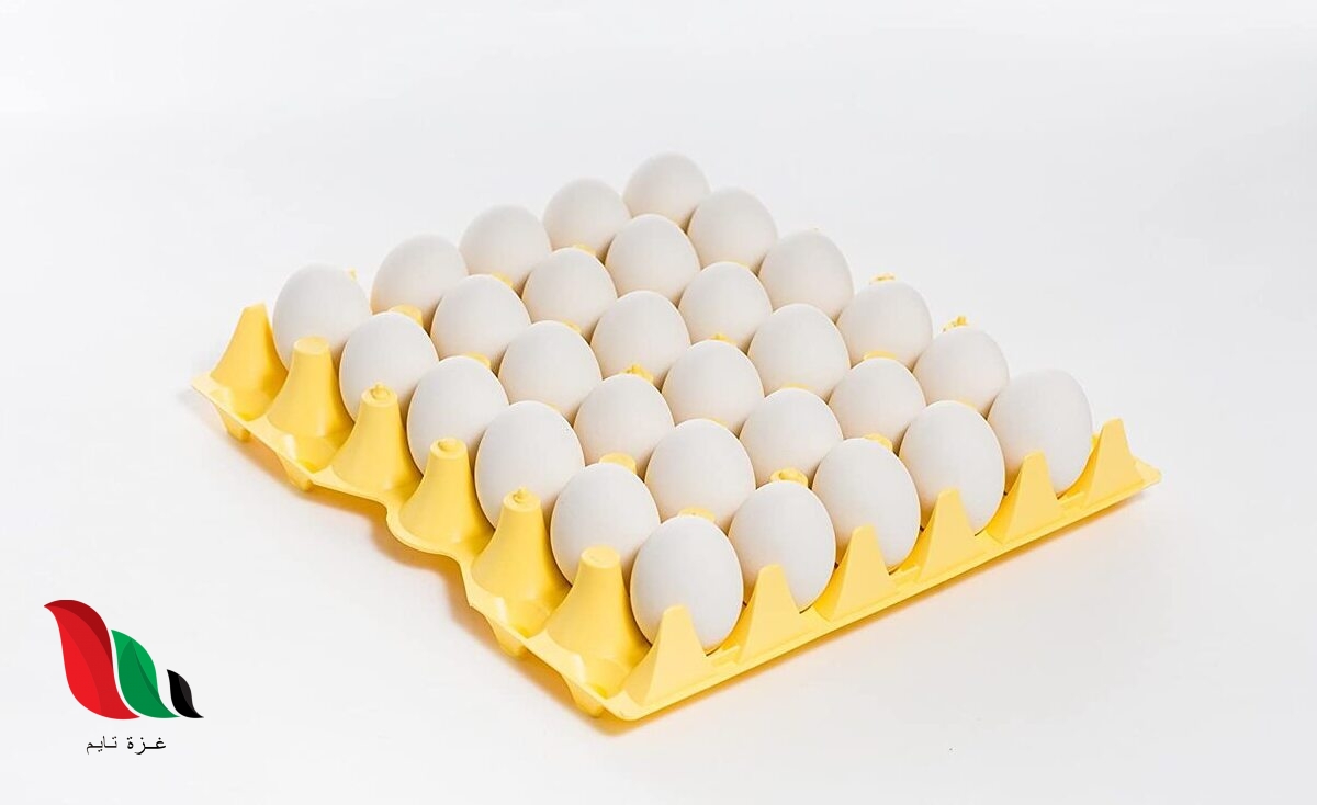 حل لغز انشدك عن شايب بناته ثلاثين