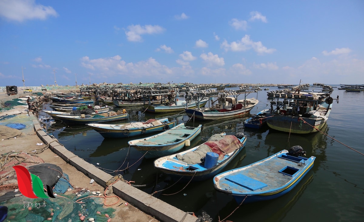 صيادو غزة.. كفاح على عدة جبهات