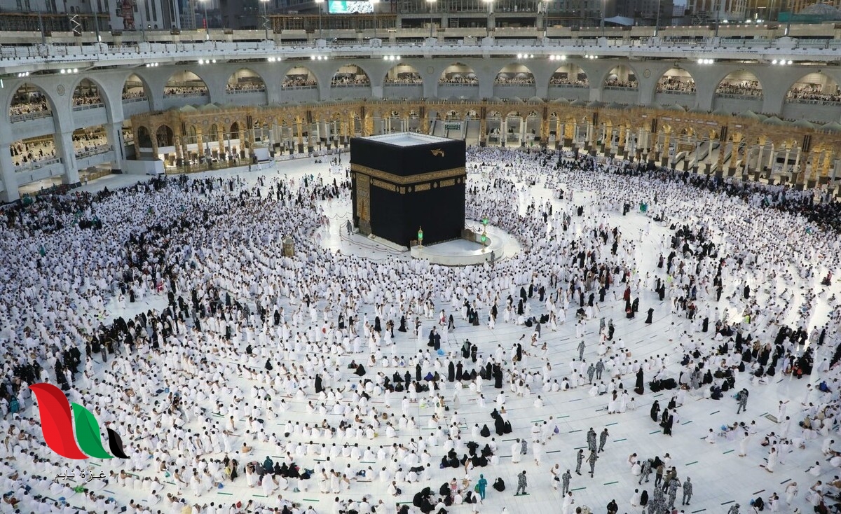 السعودية تطلق أكبر مناسك للحج منذ تفشي وباء كورونا