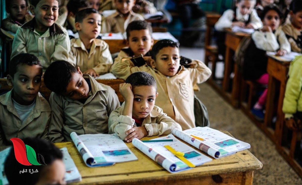 رابط تحويلات المدارس التجريبية 2022 في مصر