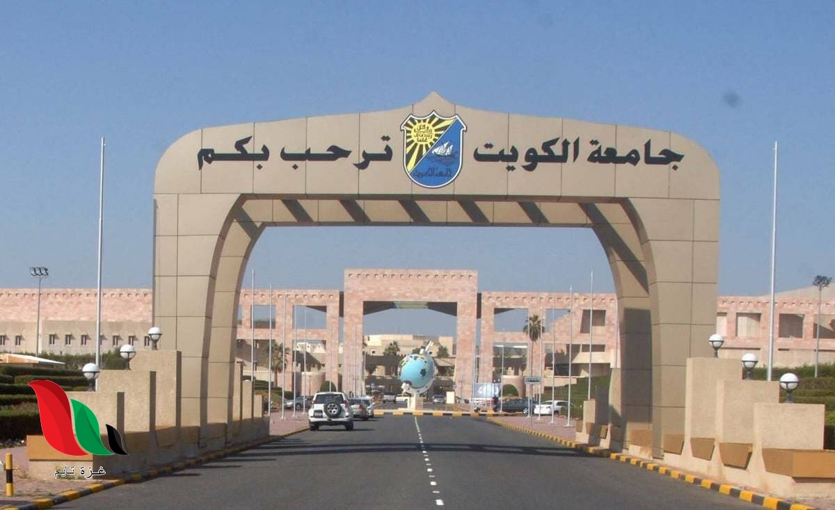 نسب القبول في جامعة الكويت 2022