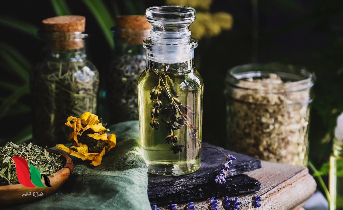 أفضل 5 أعشاب طبيعية تعالج القلق