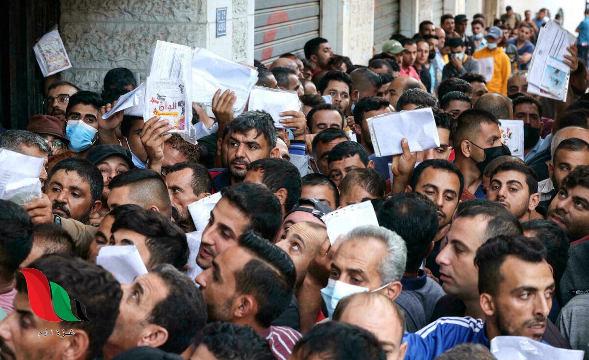 تطبيق المنسق فحص تصاريح العمل لعمال غزة