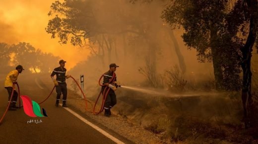 المغرب يعلن السيطرة على حرائق الغابات في إقليم خنيفرة