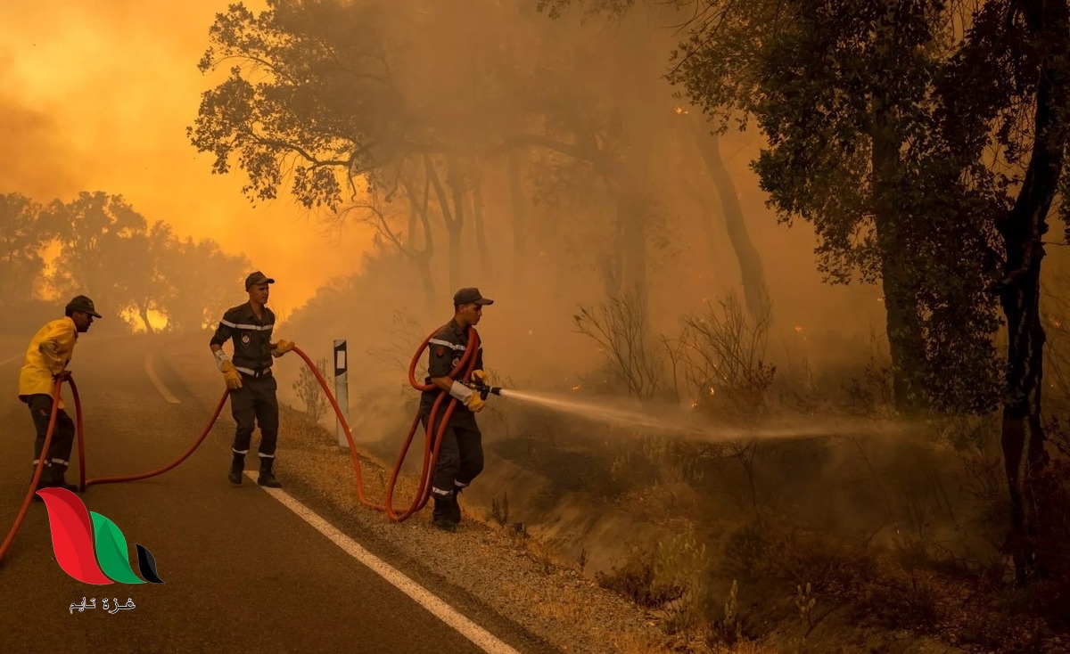 المغرب يعلن السيطرة على حرائق الغابات في إقليم خنيفرة
