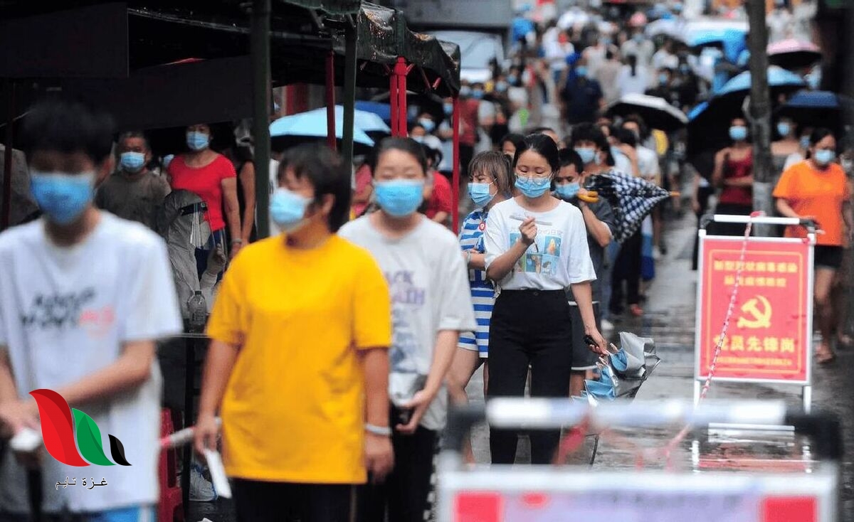 ما هو فيروس "لانجيا" الذي ظهر في الصين؟