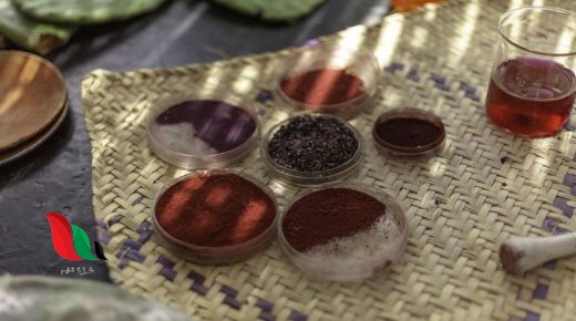 ما هي مادة e120 على ويكيبيديا ؟