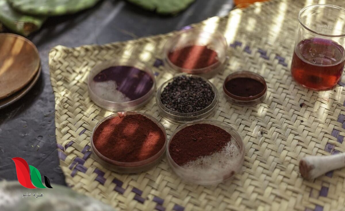 ما هي مادة e120 على ويكيبيديا ؟