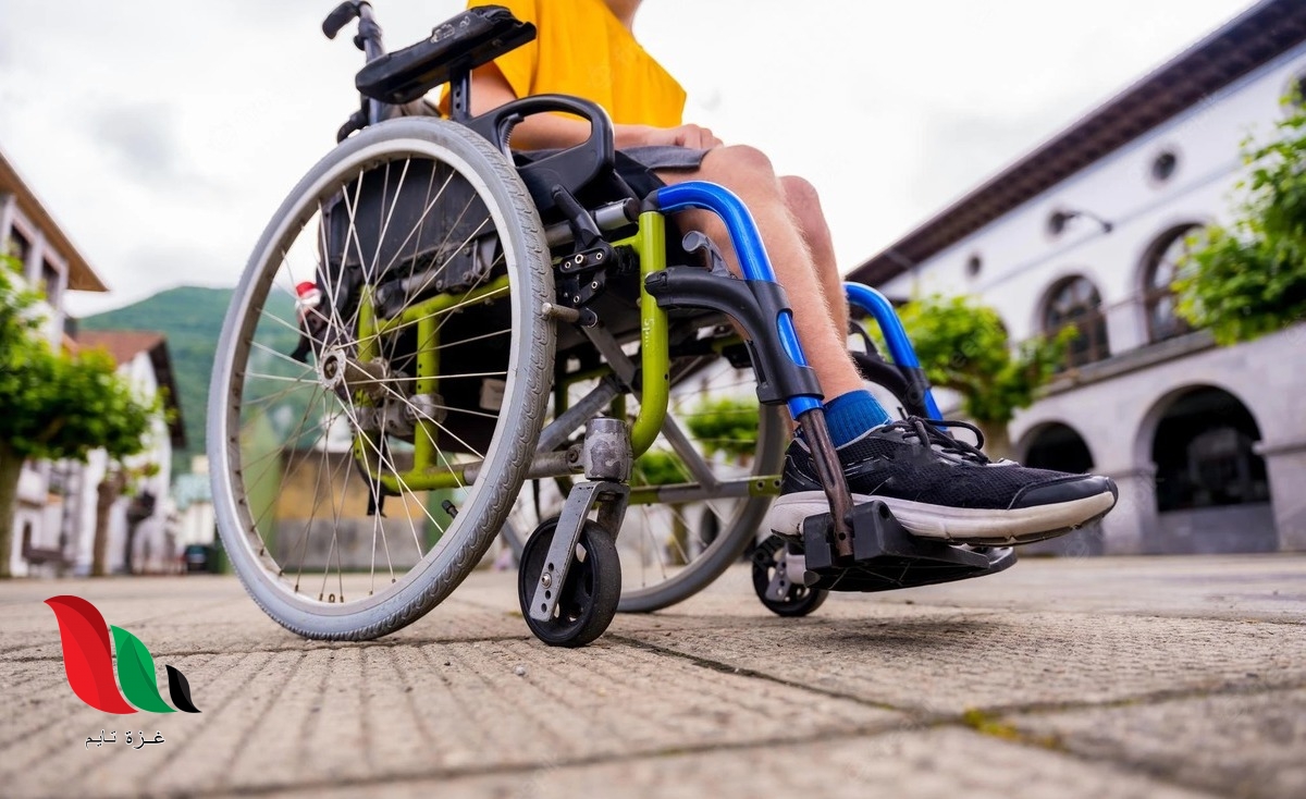 نتيجة كشف سيارات المعاقين 2022 في مصر