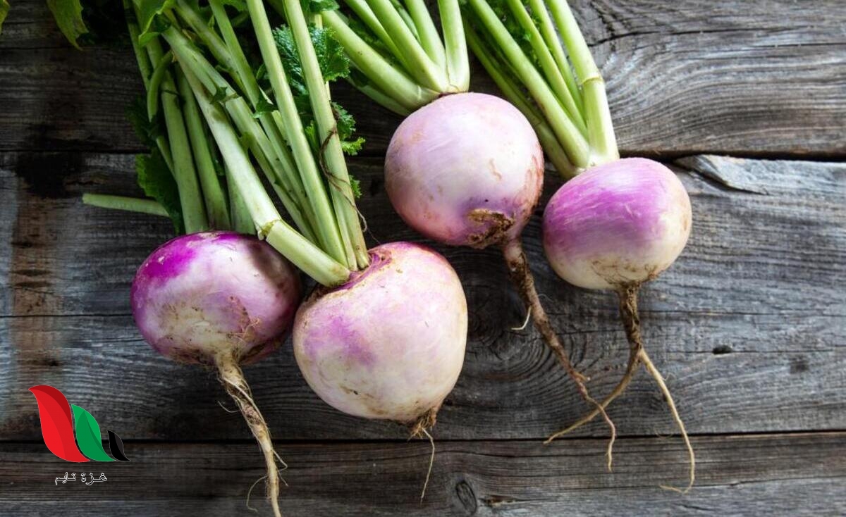 دراسة: اللفت يخفض نسبة السكر في الدم بسرعة